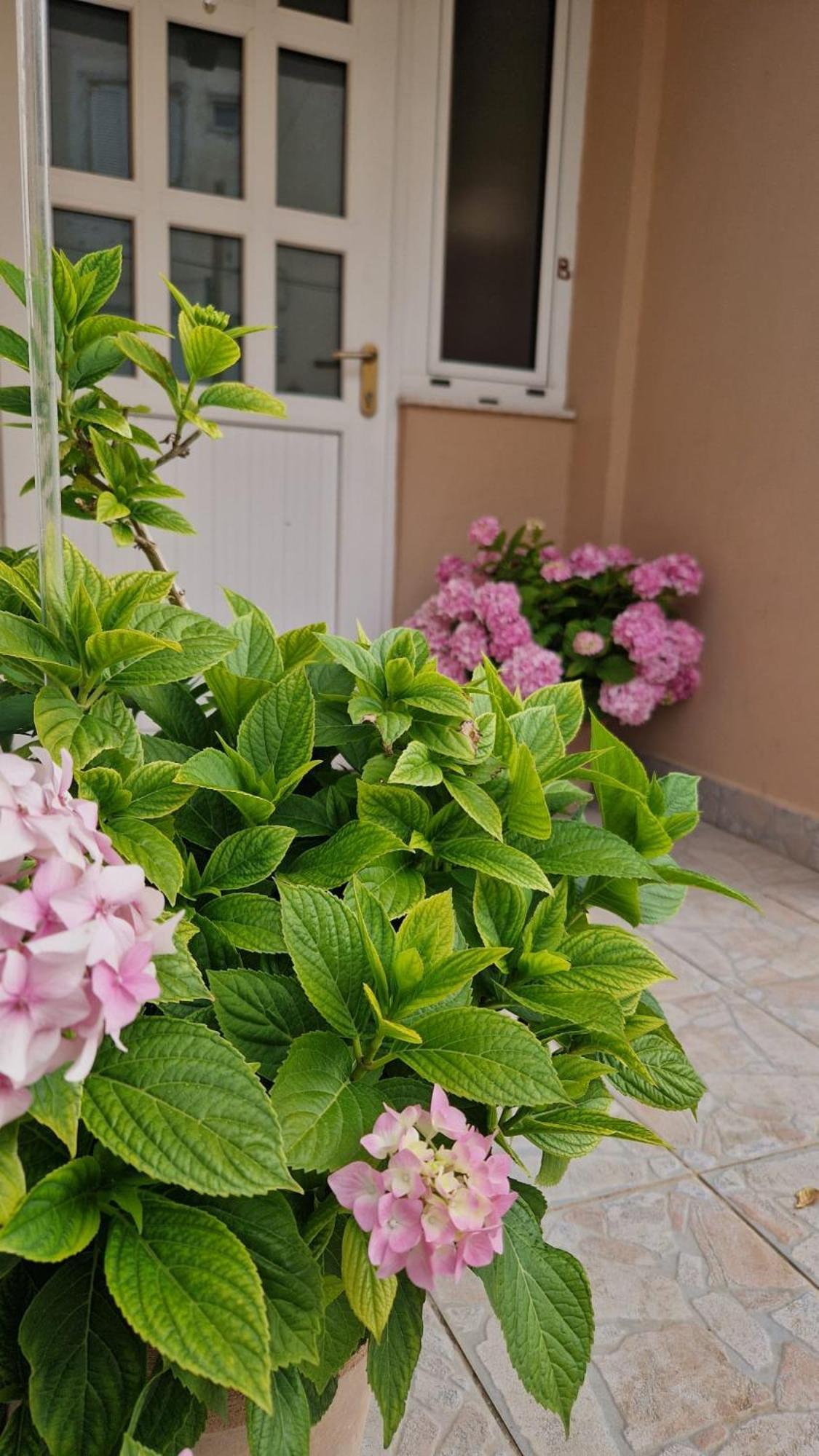 Apartment Lucka Rab Town Esterno foto